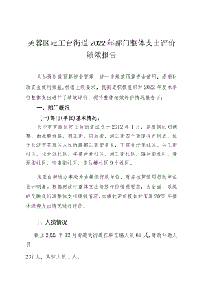 芙蓉区定王台街道2022年部门整体支出评价绩效报告.docx