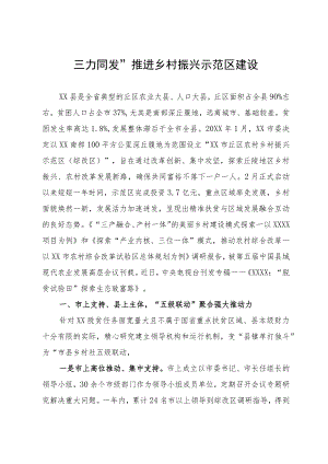 经验做法：“三力同发”推进乡村振兴示范区建设.docx