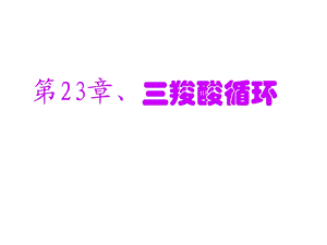 第23章三羧酸循环名师编辑PPT课件.ppt