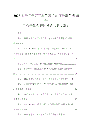 2023关于“千万工程”和“浦江经验”专题学习心得体会研讨发言（共9篇）.docx