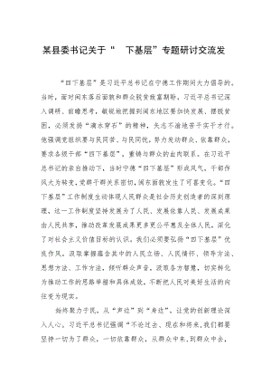 某县委书记关于“四下基层”专题研讨交流发言.docx