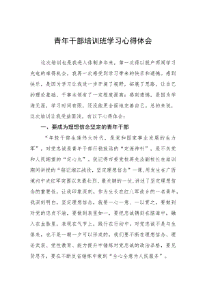 (四篇)青年干部培训班学习心得体会.docx