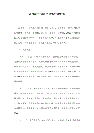 县推动共同富裕典型经验材料.docx