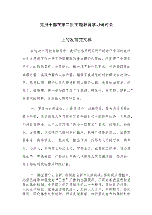党员干部在第二批主题教育学习研讨会上的发言范文稿.docx