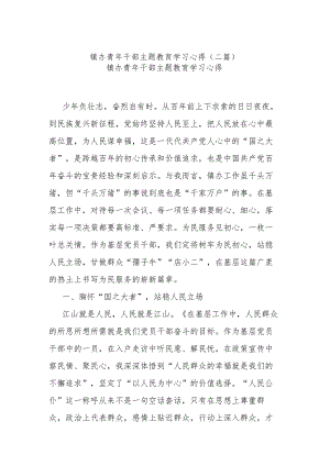 镇办青年干部主题教育学习心得(二篇).docx