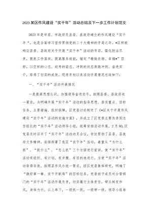 2023某区作风建设“实干年”活动总结及下一步工作计划范文.docx
