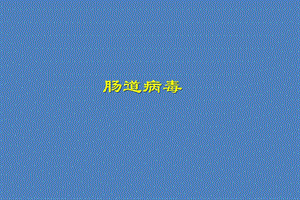 第26章肠道病毒.ppt