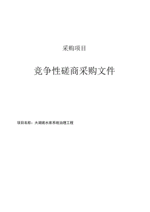 大湖底水库系统治理工程招标文件.docx