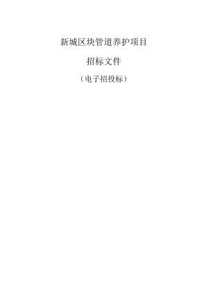 新城区块管道养护项目招标文件.docx