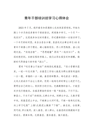 2023年优秀青年干部培训班学习心得体会.docx