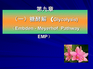 第20章糖酵解.ppt