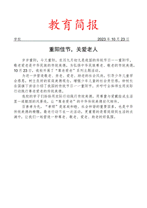 开展重阳佳节主题活动活动简报.docx