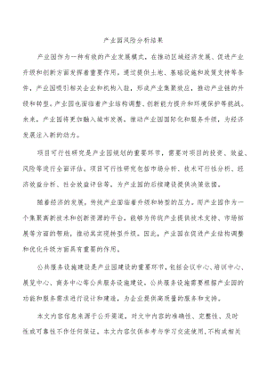 产业园风险分析结果.docx