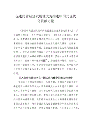 促进民营经济发展壮大为推进中国式现代化贡献力量.docx