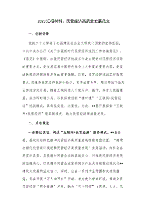 2023汇报材料：民营经济高质量发展范文.docx