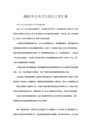 2023年公共卫生亮点工作汇报5篇.docx