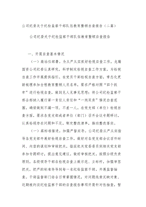 公司纪委关于纪检监察干部队伍教育整顿自查报告(二篇).docx