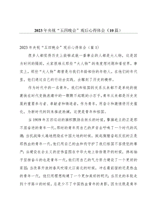 2023年央视“五四晚会”观后心得体会（10篇）.docx