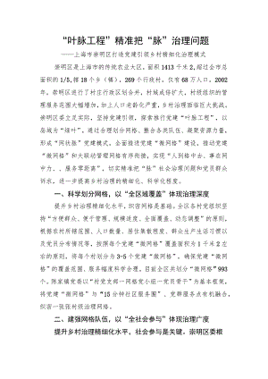 全国乡村治理典型案例：“叶脉工程”精准把“脉”治理问题.docx