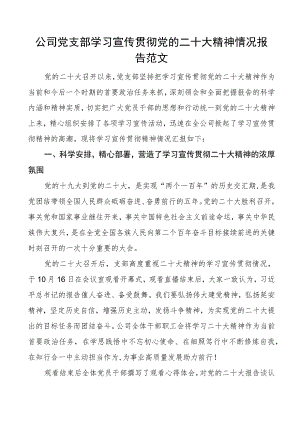情况报告二十大精神情况报告范文集团企业盛会（报告）工作汇报总结.docx