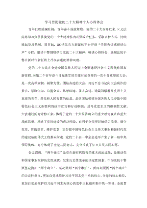 法警党员干部学习宣传贯彻党的二十大精神个人心得体会 合计4份.docx