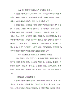 学校2023年纪检监察干部队伍教育整顿心得体会 合计10份.docx