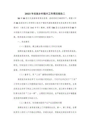 2023年实施乡村振兴工作情况报告二.docx