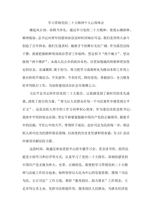 法院基层工作员学习宣传贯彻党的二十大精神个人心得体会 汇编4份.docx
