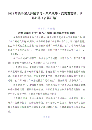 2023年关于深入开展学习“八八战略”交流发言稿、学习心得（多篇汇编）.docx