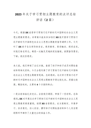 （2篇）2023年关于学习贯彻主题教育的点评总结讲话.docx