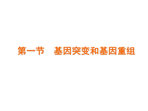第一节基因突变和基因重组.pptx