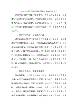 高等学院2023年纪检监察干部队伍教育整顿心得体会 （合计9份）.docx
