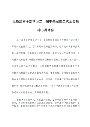 纪检监察干部学习二十届中央纪委二次全会精神心得体会.docx