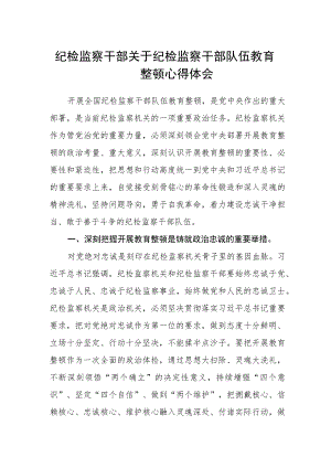 纪检监察干部关于纪检监察干部队伍教育整顿心得体会.docx