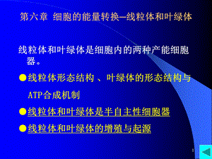 第6章线粒体与叶绿体.ppt