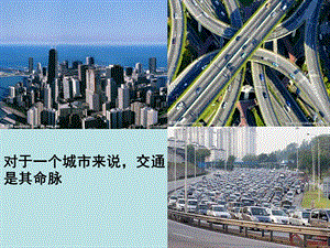 第一节流动的组织—血液.ppt