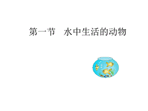 第一部分水中生活的动物名师编辑PPT课件.ppt