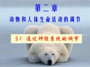 第一节通过神经系统的调节.ppt