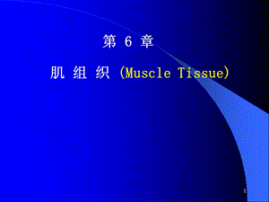 第6章肌组织课件.ppt