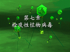 第七章检疫性植物病毒名师编辑PPT课件.ppt