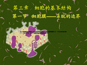 第一部分细胞膜系统的边界教学课件名师编辑PPT课件.ppt