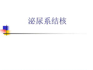 泌尿系结核.ppt