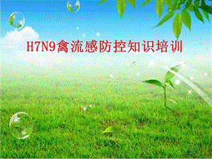 H7N9禽流感防控知识培训.ppt
