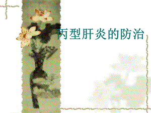 丙型肝炎的防治.ppt