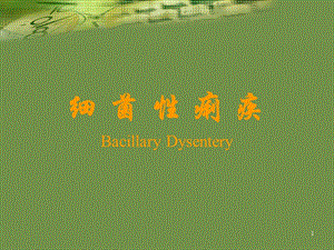 细菌性痢疾.ppt.ppt