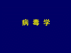 药本病毒学.ppt