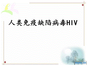 HIV的致病机理.ppt.ppt