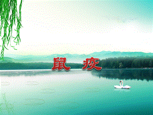 鼠疫的防治.ppt