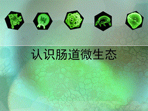 认识肠道微生态（精品ＰＰＴ） .ppt