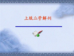 人体解剖上肢的血管.ppt